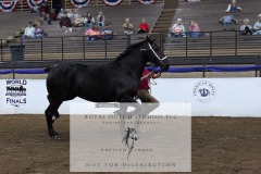 Untitled-0072-6