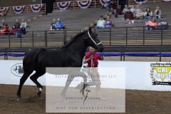 Untitled-0073-6