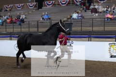 Untitled-0074-6