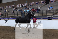 Untitled-0075-6