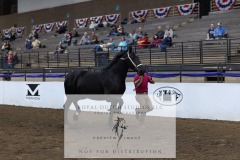 Untitled-0076-6