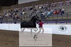 Untitled-0077-6