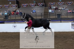 Untitled-0078-6