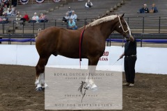 Untitled-0081-5