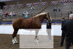 Untitled-0082-5