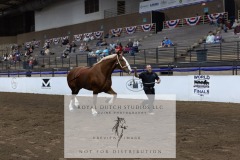 Untitled-0087-5