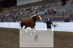 Untitled-0088-5