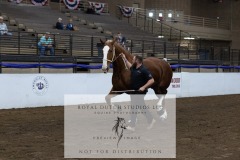 Untitled-0093-5