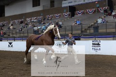 Untitled-0097-5