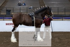 Untitled-0131-4