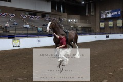 Untitled-0138-4