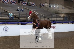 Untitled-0159-3