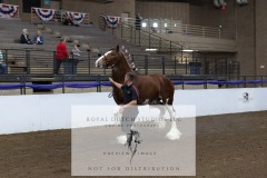 Untitled-0161-3