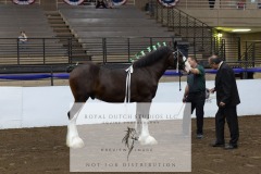 Untitled-0164-3