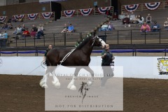 Untitled-0166-3