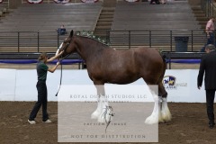 Untitled-0167-3