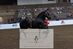Untitled-0175-3