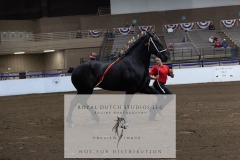 Untitled-0177-3