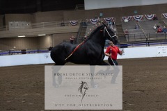Untitled-0178-3