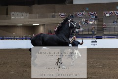 Untitled-0182-3