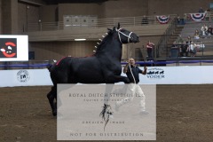 Untitled-0183-3