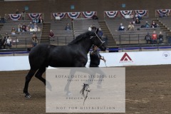 Untitled-0184-3