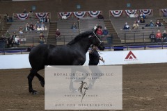 Untitled-0185-3