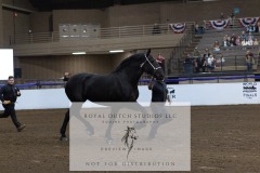 Untitled-0186-3