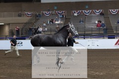 Untitled-0190-2