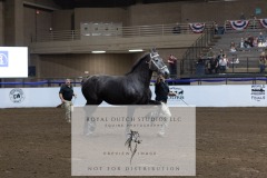 Untitled-0191-2