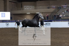 Untitled-0192-2