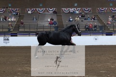 Untitled-0193-2