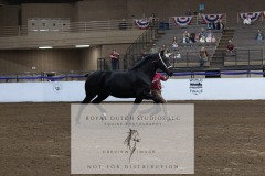 Untitled-0196-2