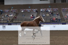 Untitled-0197-2
