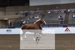 Untitled-0198-2