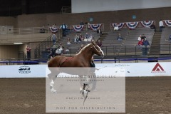 Untitled-0199-2