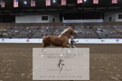 Untitled-0211-2