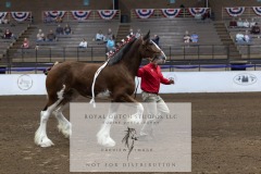 Untitled-0212-2