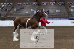 Untitled-0213-2