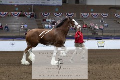Untitled-0217-2