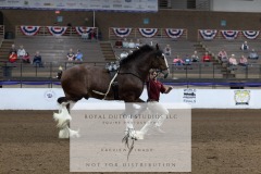 Untitled-0220-2