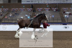 Untitled-0223-2