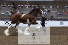 Untitled-0228-2