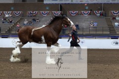 Untitled-0231-2