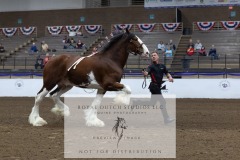 Untitled-0232-2