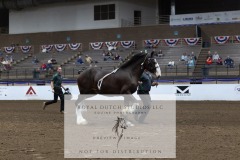 Untitled-0237-2