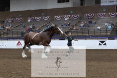 Untitled-0241-2