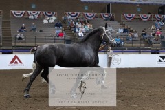 Untitled-0032-17