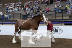 Untitled-0049-11
