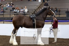 Untitled-0055-11